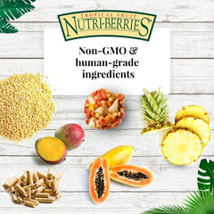 LAFEBER'S Tropical Fruit Nutri-Berries Pet Bird Food, Made with Non-GMO and Human-Grade Ingredients 3 lb