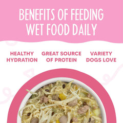 Weruva Meals 'n More Natural Wet Dog Food, Amazon Livin' Plus Digestive Support (Pack of 12)