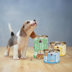 Weruva Puppy, Chicken Formula in Gravy (Pack of 8)