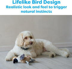SPOT Bird Calls Plush Dog Toy with Realistic Bird Sound – 12" Sound Chip Toy for Dogs, One of Three Assorted Styles, Engaging Indoor Play for All Breeds