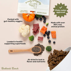 Superfood Complete, Adult Dog Food, Air-Dried, High Protein, Zero Fillers, Superfood Nutrition by Katherine Heigl (Beef Formula)