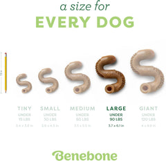 Benebone Tripe Bone Durable Dog Chew Toy for Aggressive Chewers, Real Tripe, Made in USA