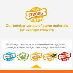 Nylabone Strong Chew Real Wood Stick Chew Toy for Dogs, Maple Bacon Flavor