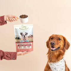BADLANDS RANCH - Superfood Complete, Air-Dried Adult Dog Food - High Protein, Zero Fillers, Superfood Nutrition by Katherine Heigl (11.5 oz, Beef & Bison Formula)
