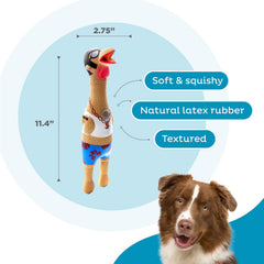 Outward Hound by Charming Pet Squawkers Earl Latex Squeaky Rubber Chicken Dog Toy, Funny Interactive Holiday Toy for Dogs, Large Size