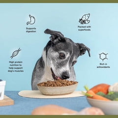Superfood Complete, Air-Dried Adult Dog Food - High Protein, Zero Fillers, Superfood Nutrition by Katherine Heigl (Lamb & Venison)