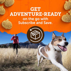 Zuke’s Mini Naturals Dog Training Treats for Dogs of All Sizes, Pet Treats made with Real Duck