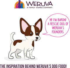B.F.F. Best Fido Friend Fun Size Meal Variety Pack, Natural Wet Dog Food Cups by Weruva