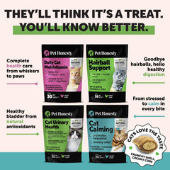 Pet Honesty Cat Hairball Support Crunchy & Creamy Chews, Hairball Remedy Treats, Cat Furball Treatment, Supports Skin & Coat, Vitamins for Digestion, Chicken (30-Day Supply)