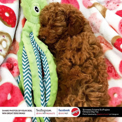 Skinneeez Extreme Stuffless Dog Toy with Squeaker | Extra Strong Plush Tug of War Octopus Squeak Toy for Small and Large Dog Breeds