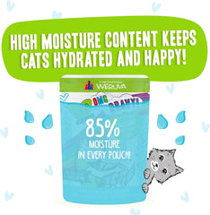 Weruva B.F.F. OMG - Best Feline Friend Oh My Gravy!, Shazaam! with Lamb & Tuna in Gravy Cat Food