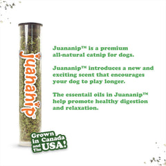 SMARTERPAW Doggijuana | Tuffer Chewer - Interactive Dog Toy with Juananip Refill | Refillable Durable Dog Toy for Engaging Play and Natural Calming (Sprinkled Donut)