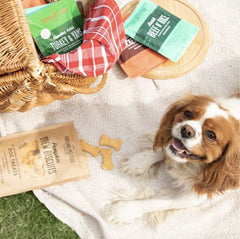 Portland Pet Food Company Beef Broth Brew Biscuit Dog Treats (1 Pack, 5 oz Bag) – All Natural, Human-Grade, USA-Sourced and Made, CRAFTED BY HUMANS LOVED BY DOGS