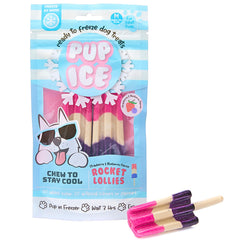 SPOT Pup Ice- Ready to Freeze at Home Dog Treats-Edible Chews for Medium Breed Dogs & Puppies with Real Chicken to Keep Your Pup Cool Year Round