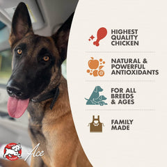 Fromm Diner Classics Charlie's Chicken Pot Pie Pate Dog Food - Premium Wet Dog Food - Chicken Recipe - Case of 12 Cans