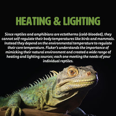 Fluker's Repta-Clamp Lamp, Heavy Duty Clamp Light For Reptile Tanks and Terrariums, UL/CUL Approved, Great for Reptile Basking, 250-Watt Maximum with On/Off Switch