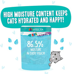 Weruva B.F.F. OMG - Best Feline Friend Oh My Gravy!, Seeya Sooner! with Chicken & Tuna in Gravy Cat Food