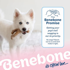 Benebone Puppy Wishbone Dog Chew Toy, Made in USA, Real Bacon Flavor