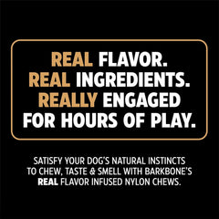 Pet Qwerks Dinosaur BarkBone - Nylon Dog Bone for Aggressive Chewers - Bacon Flavor