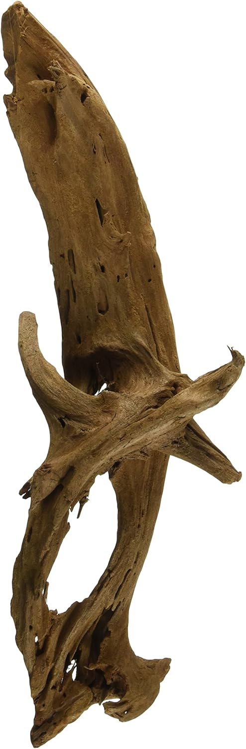 Galápagos Sinkable Driftwood Bed, Natural