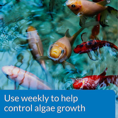 API Pondcare Algaefix Alage Control