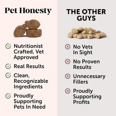 Pet Honesty Probiotics for Dogs, Dog Probiotics for Digestion Support, Digestive Enzymes Promotes Gut Health & Prebiotics for Immunity Health & Itch Relief, (Pumpkin 90 ct)