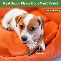 SPOT Bam-Bones Bone - Made with Strong Bamboo Fiber, Durable Long Lasting Dog Chew for Light to Moderate Chewers, Great Toy for Adult Dogs & Teething Puppies Under 25lbs, Bacon Flavor