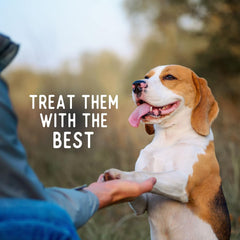 Beg & Barker Turkey Chips for Dogs - Single Ingredient Dog Treats Made for Large & Small Dogs Protein Human Grade Dog Treats Made from Real Meat Turkey, Made in USA