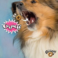 Fromm Crunchy Os Slammon' Smoked Salmon Dog Treats - Premium Crunchy Dog Treats-6 oz