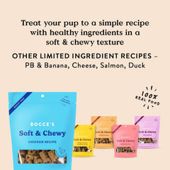 Bocce's Bakery Oven Baked Chicken Recipe Treats for Dogs, Wheat-Free Everyday Dog Treats, Made with Real Ingredients, Baked in The USA, All-Natural Soft & Chewy Cookies, Chicken, 6 oz