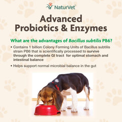 NaturVet Advanced Probiotics & Enzymes Plus Vet Strength PB6 Probiotic Soft Chews for Dogs, 5.9 oz., Count of 70, 70 CT