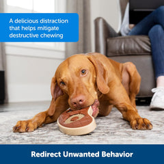 PetSafe® Natural Rawhide Treat Ring Refills , Peanut Butter Flavor, Replacement Treats Busy Buddy Treat Ring Holding Toys
