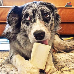 Redbarn Filled Dog Bones, Natural Long-Lasting Dental Treats; Suitable for Aggressive Chewers(Beef)