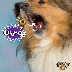 Fromm Crunchy Os Smokin' CheesePlosions Dog Treats - Premium Crunchy Dog Treats - Pork Recipe.