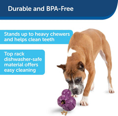 PetSafe Busy Buddy Barnacle - Dog Chew Toy - Treat Dispensing Dog Toys