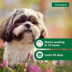 Advantage® II for Dogs (Topical)