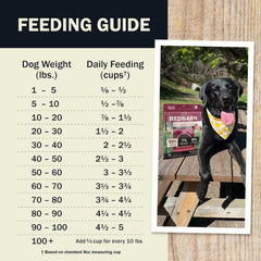 Redbarn® Beef & Lamb Gut Health 2 lbs