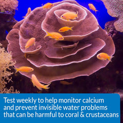 API CALCIUM TEST KIT Saltwater Aquarium Water 1-Count