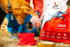 Nulo Frontrunner Dry Dog Food for Adult Dogs - Grain Inclusive Recipe with Turkey, Trout, & Spelt - All Natural with High Taurine Levels - Animal Protein for Lean Strong Muscles, Orange