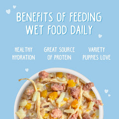 Weruva Puppy, Chicken and Rice Formula in Gravy