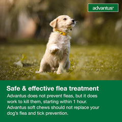 Advantus Dog Advantus Chewable Flea Treatment for Dogs | 30 ct.