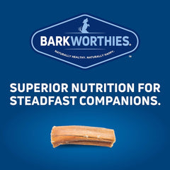 Barkworthies Bully Stick Bites - 10 oz (Pack of 1) - Protein-Rich, All-Natural Rawhide Alternative, Easily Digestible, Promotes Dental Health