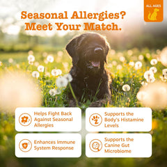 Zesty Paws Dog Allergy Relief- Dog Itching Skin Relief- Dog Probiotics for Itchy Skin and Itchy Ears- Dog Allergy Paw Relief- Dog Allergy Chews- Dog Itch Relief - Dog Skin Allergy Relief - PB - 90ct