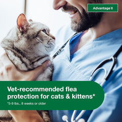 Elanco Advantage Cat Vet-Recommended Flea Treatment & Prevention | 4-Month Supply