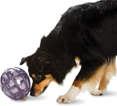PetSafe Busy Buddy Kibble Nibble - Dog Toy - Treat and Food Dispenser - Slow Feeder