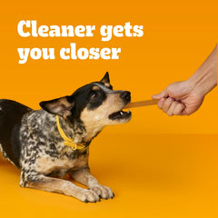 Pedigree Dentastix Small & Medium Breed Dog Treats, Original With Real Chicken, 13.93 oz. Bag (25 Treats)
