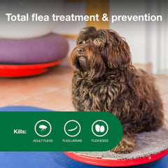 Elanco Advantage II Dog Vet-Recommended Flea Treatment & Prevention | 4-Month Supply