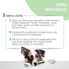 Nylabone Advanced Oral Care Natural Dog Dental Kit Peanut Flavor