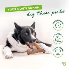 Benebone Wishbone Durable Dog Chew Toy for Aggressive Chewers, Real Peanut, Made in USA, for Any breed