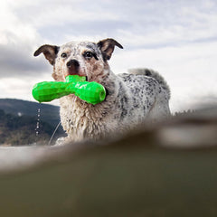 Hound2O Outdoor Dog Toys | Squeaky Boomerang Chew Toy for Dogs | Bright Color for Interactive Play | Durable Toy Made from Non-Toxic Materials
